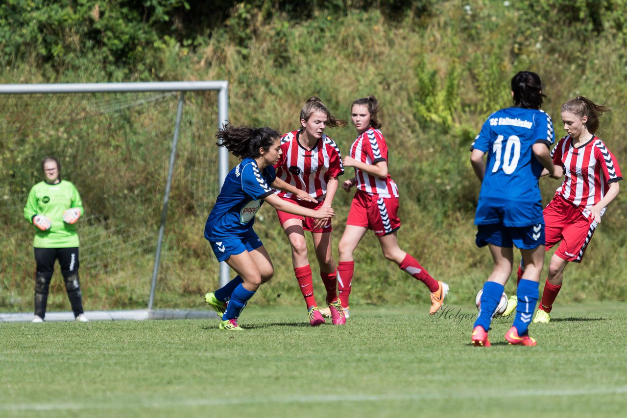 Bild 214 - B-Juniorinnen TuS Tensfeld - FSC Kaltenkirchen : Ergebnis: 3:6